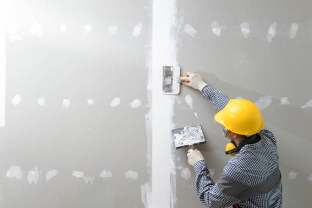 Mold Documentation for Insurance Claims in Lorena, TX
