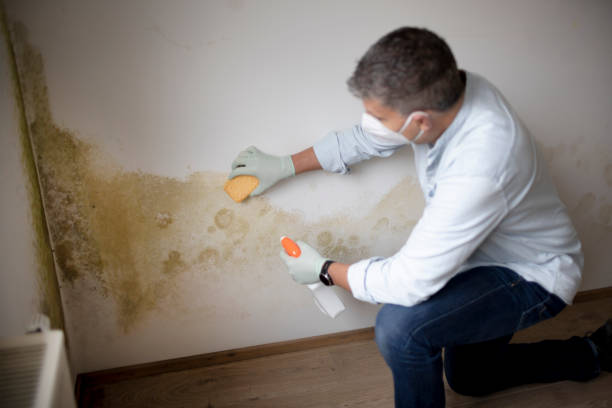 Best Commercial Mold Inspection  in Lorena, TX