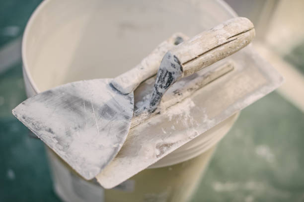 Best Forensic Mold Investigation  in Lorena, TX